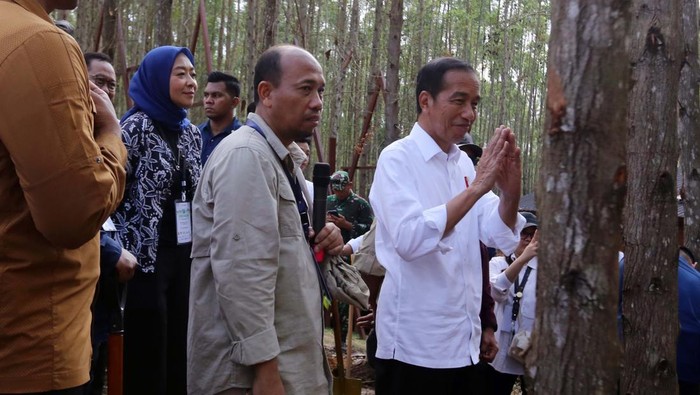 Momen Jokowi Tinjau Miniatur Hutan Hujan Tropis di IKN Nusantara