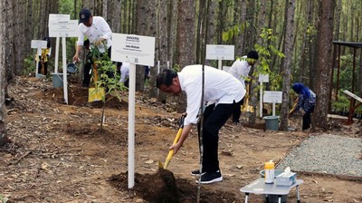 Momen Jokowi Tinjau Miniatur Hutan Hujan Tropis di IKN Nusantara