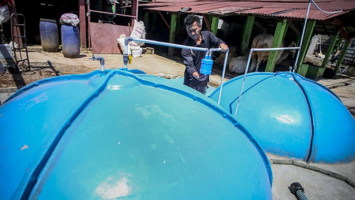 Pemanfaatan limbah kotoran ternak menjadi energi biogas Peternak memeriksa keran kontrol pada tangki biogas yang berasal dari limbah kotoran sapi di Pancoran, Jakarta, Rabu (20/12/2023). Sebanyak tujuh rumah warga di sekitar peternakan sapi tersebut memanfaatkan limbah kotoran ternak untuk menjadi energi biogas dalam kehidupan sehari-hari. ANTARA FOTO/Rivan Awal Lingga/aww.