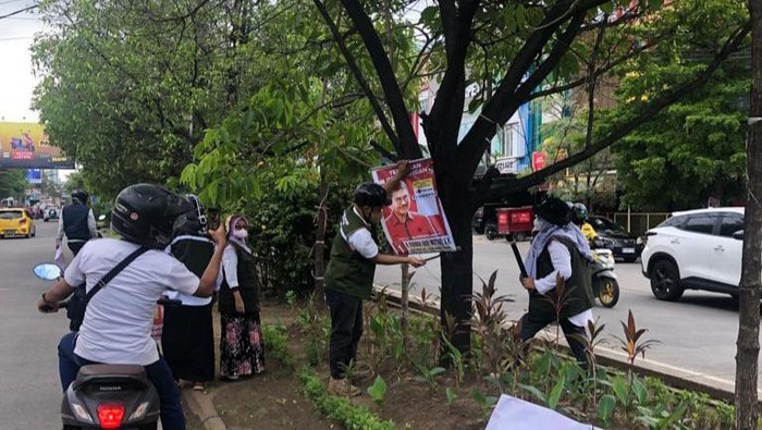 Penertiban APK dipaku di pohon di Makassar. Sahrul Alim/detikSulsel