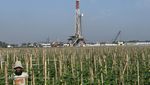 Penampakan Ladang Migas Pertamina yang Ditemukan di Bekasi