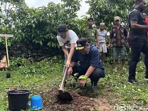 Pj Gubernur Sulsel Tanam 1.000 Pohon Sukun di Ujung Barat Bone