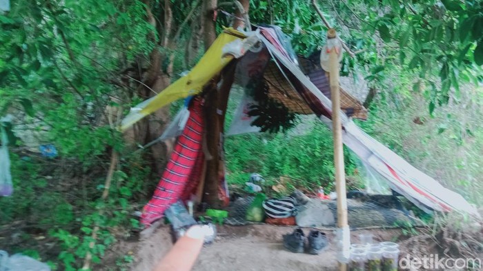 Tenda reyot tempat tinggal ayah dan anak di kebun jati Ceper, Klaten, Rabu (20/12/2023).