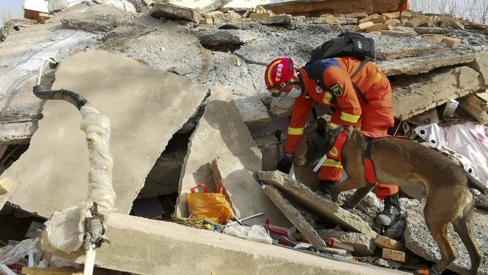 Pencarian korban gempa terus dilakukan di China, Selasa (19/12/2023). Bahkan anjing pelacak juga dikerahkan untuk mencari korban di reruntuhan bangunan.