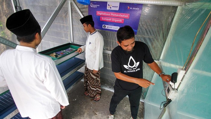 Canggih! Santri di Sidoarjo Budi Daya Maggot Pakai IOT Regional Group Head XL Axiata East Region Dodik Ariyanto (kiri) Kepala Desa Pademonegoro Ispriyanto (kanan) meninjau pembibitan maggot di ruang inkubator budi daya maggot di Pondok Pesantren Madrasatul Qur'an At-Tauhid, Pademonegoro, Sukodono, Sidoarjo , Jawa Timur, Kamis (21/12/2023). PT XL Axiata Tbk terus mendorong penerapan teknologi digital di pondok pesantren salah satunya dengan pemanfaatan solusi berbasis internet of things (IoT) dalam pembuatan inkubator untuk budi daya maggot. ANTARA FOTO/Umarul Faruq/nz