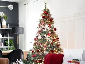 Posisi yang Pas untuk Meletakkan Pohon Natal di Rumah