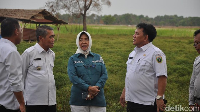 Dinas Ketahanan Pangan dalam Rangka Panen Cabai di Desa Harisan Jaya Kecamatn Pemulutan Barat Kabupaten Ogan Ilir beberapa waktu yang lalu