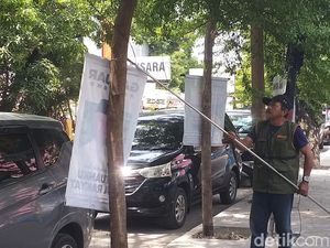 DLH Makassar Miris Lihat Satu Pohon Dipaku hingga 5 APK Caleg
