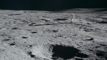 Selama Misi Apollo14, sebuah foto diambil di permukaan bulan yang menggambarkan cahaya biru aneh bermil-mil jauhnya yang seharusnya tidak ada di sana. Serangkaian foto [AS14-66-9290, AS14-66-9293, AS14-66-9294, AS14-66-9295, AS14-66-9296, AS14-66-9297, AS14-66-9299, AS14-66 -9301, AS14-66-9320, AS14-66-9339, AS14-66-9345, AS14-66-9346, AS14-66-9348] juga menampilkan lampu biru Beberapa orang mengaitkannya dengan suar lensa kamera sementara yang lain mengklaim bahwa itu adalah bukti benda luar angkasa, UFO, atau rahasia tersembunyi NASA. Foto: Thouhtnova