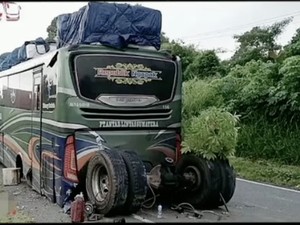 Viral Gardan-As Roda Bus PO ALS Lepas dari Sasis, Kok Bisa?