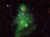 Nasa Temukan Pohon Natal di Luar Angkasa