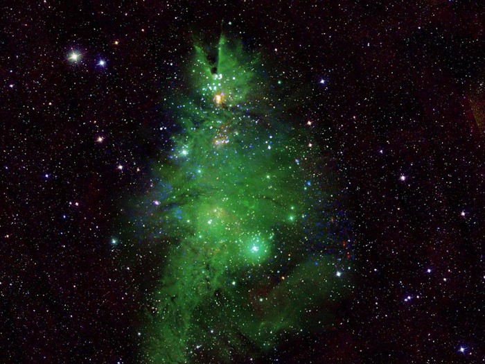 Gugusan bintang NGC 2264