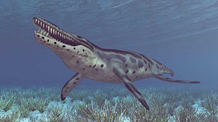 Computer generated 3D illustration with the extinct pliosaur Kronosaurus