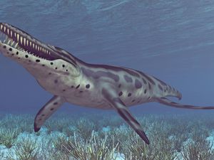 Wakayama Soryu, Monster Asal Jepang yang Teror Lautan 72 Juta Tahun Lalu