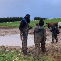 Setelah menjadi istri juragan ternak, kegiatan sehari-hari Peggy Melati Sukma tampak berdakwah dan menemani sang suami serta ke-5 anak sambungnya. Foto: Instagram @peggymelatisukma_khadijah