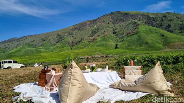 Pengalaman merasakan piknik estetik di Bromo