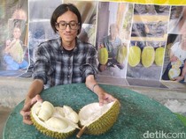 Durian Candimulyo Jadi Incaran, Rp 100 Ribu Bisa Dapat 4 Buah!