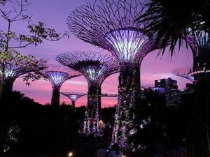 Liburan di Singapura Makin Mudah! Jajan-Belanja Bisa Lewat BRImo