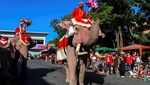 Atraksi Gajah Thailand Bagikan Hadiah Natal untuk Siswa Sekolah