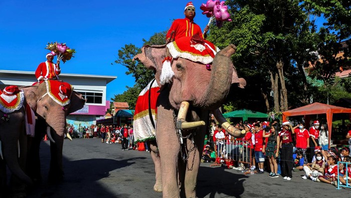 Teachers and students wait for gifts from elephants dressed in Santa Claus costumes ahead of Christmas celebrations at a primary school, in Ayutthaya, Thailand, December 22, 2023. REUTERS/Artorn Pookasook