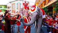 Pawai gajah itu juga menjadi hiburan warga Thailand saat libur Natal.  