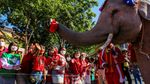 Atraksi Gajah Thailand Bagikan Hadiah Natal untuk Siswa Sekolah