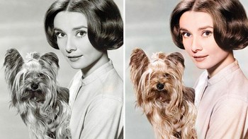 Audrey Hepburn. Foto: Boredpanda