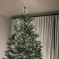 Kourtney Kardashian memilih tampilan yang lebih minimalis. Pohin Natal yang tingginya mencapai langit-langit rumah tidak banyak dihiasi dengan ornamen warna-warni, hanya lampu-lampu gemerlapan tapi tetap terlihat meriah. Foto: Instagram