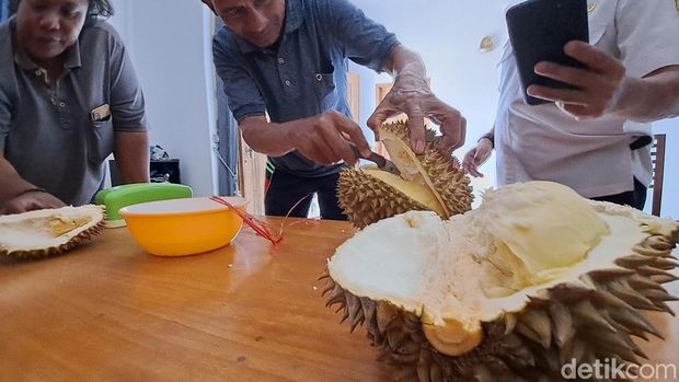 Penampakan Durian Pogog Desa Tengger, Kecamatan Puhpelem, Kabupaten Wonogiri, saat ditemui pada Rabu (20/12/2023).