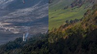 Sebanyak 989 hektare lahan terbakar yang diduga akibat percikan suar api saat sesi foto pranikah itu kini mulai tampak menghijau.  