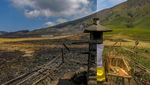 Before After Gunung Bromo, Terbakar-Menghijau
