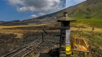 Pemulihan ekosistem di kawasan itu membutuhkan waktu yang cukup panjang. Pepohonan seperti cemara gunung, kesek, tutup, dan pasang yang terdampak kebakaran, membutuhkan sekitar tiga sampai lima tahun untuk pulih kembali.  