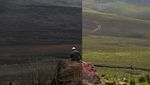 Before After Gunung Bromo, Terbakar-Menghijau