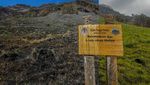 Before After Gunung Bromo, Terbakar-Menghijau
