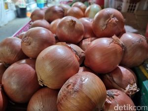 Penyelundupan 21 Ton Bawang Bombai Ilegal Asal Selandia Baru Digagalkan