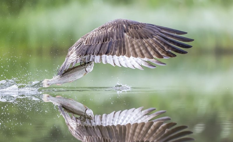 Karya Wildlife Photographers 2023