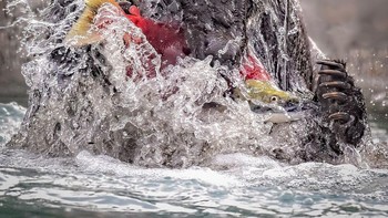 Karya Stue Rees, Selandia Baru.  Foto: Oneeyeland