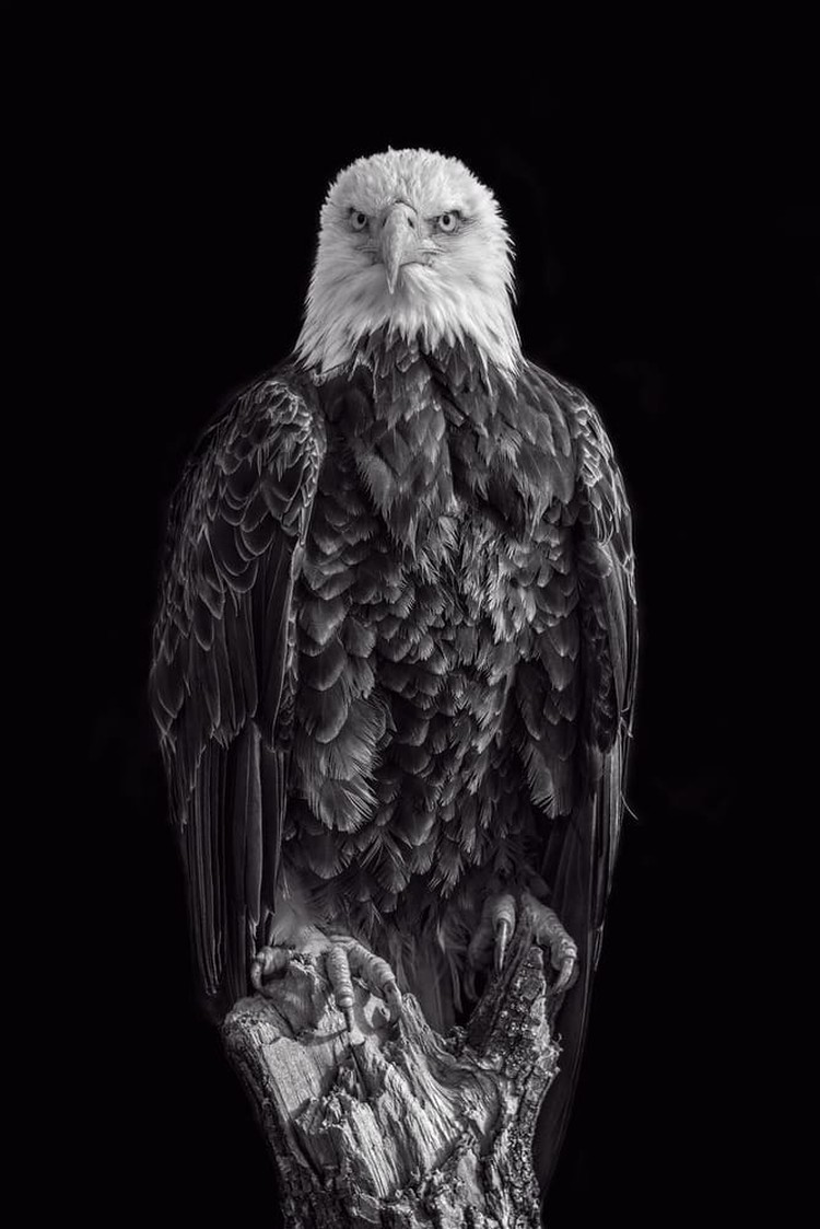 Karya Wildlife Photographers 2023 Karya Wildlife Photographers 2023