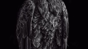 Karya Sue Ratcliffe dari Kanada. Foto: Oneeyeland