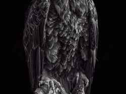 Karya Memukau Fotografer Satwa Liar 2023 Bikin Terkesima