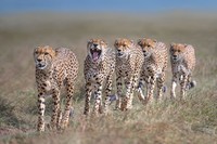 Karya Wildlife Photographers 2023