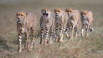 Karya Xavier Ortega dari Spanyol. Foto: Oneeyeland