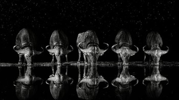 Karya Xavier Ortega dari Barcelona, Sanyol. Foto: Oneeyeland