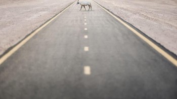 Karya Daniel Newton dari Uni Emirat Arab. Foto: Oneeyeland