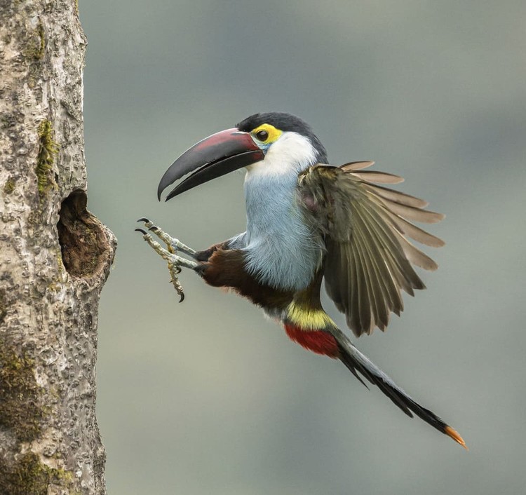 Karya Wildlife Photographers 2023 Karya Wildlife Photographers 2023