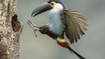 Karya Marcello Galleano dari Albisola Superore SV, Italia. Foto: Oneeyeland