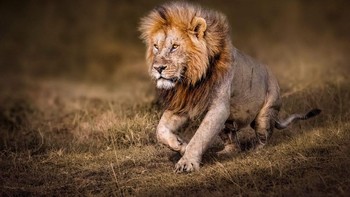 Karya Monica L Corcuera dari Meksiko. Foto: Oneeyeland