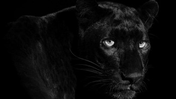 Karya Lars Beusker, Jerman. Foto: Oneeyeland