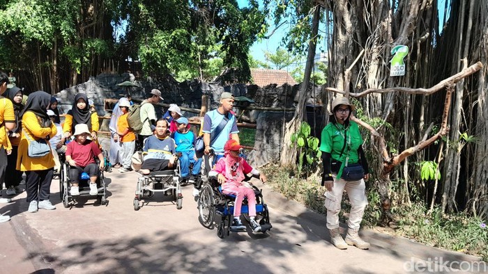 Sebanyak 450 anak penyandang disabilitas ramaikan tour di Solo Safari, Jumat (22/12/2023).