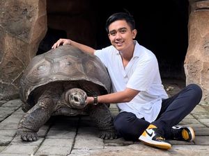 Alasan YouTuber Wildan Mochmaul Bisa Dijuluki Profesor Hewan di Luar Nalar